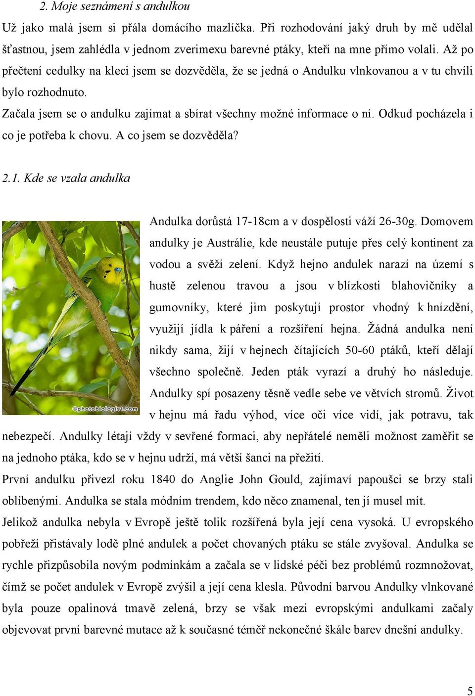 Odkud pocházela i co je potřeba k chovu. A co jsem se dozvěděla? 2.1. Kde se vzala andulka Andulka dorůstá 17-18cm a v dospělosti váží 26-30g.