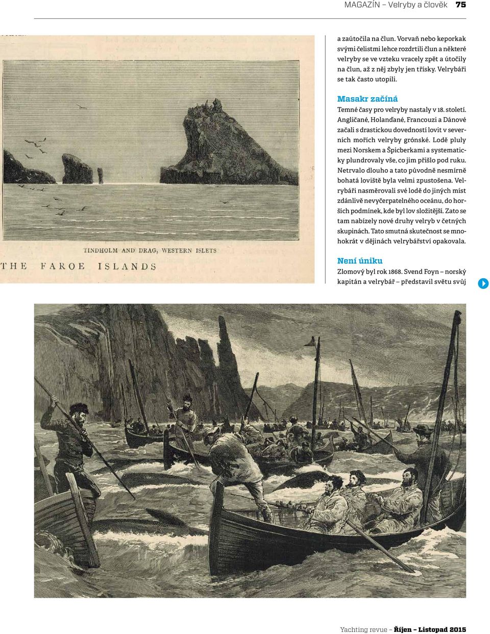 Angličané, Holanďané, Francouzi a Dánové začali s drastickou dovedností lovit v severních mořích velryby grónské.