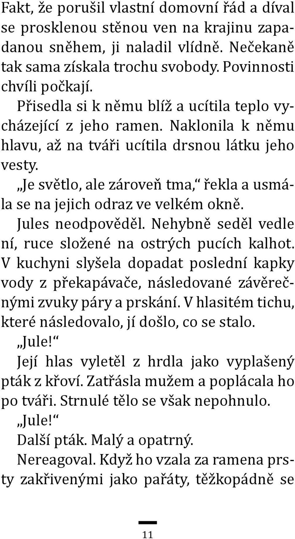 Je světlo, ale zároveň tma, řekla a usmála se na jejich odraz ve velkém okně. Jules neodpověděl. Nehybně seděl vedle ní, ruce složené na ostrých pucích kalhot.