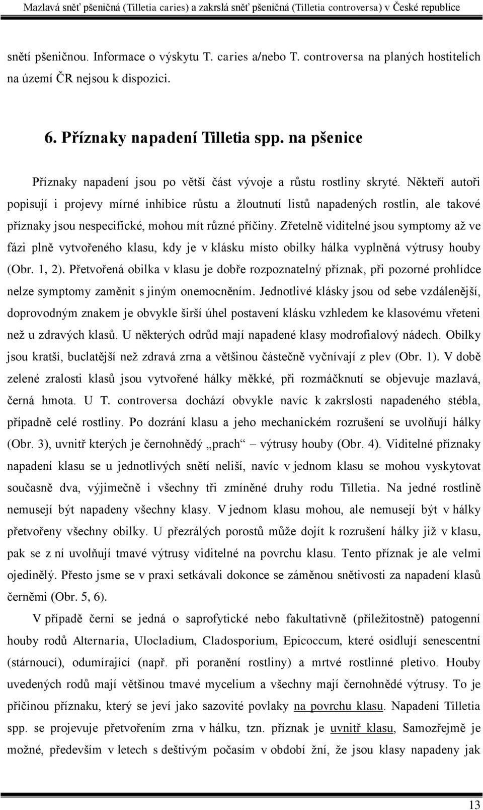 Někteří autoři popisují i projevy mírné inhibice růstu a žloutnutí listů napadených rostlin, ale takové příznaky jsou nespecifické, mohou mít různé příčiny.