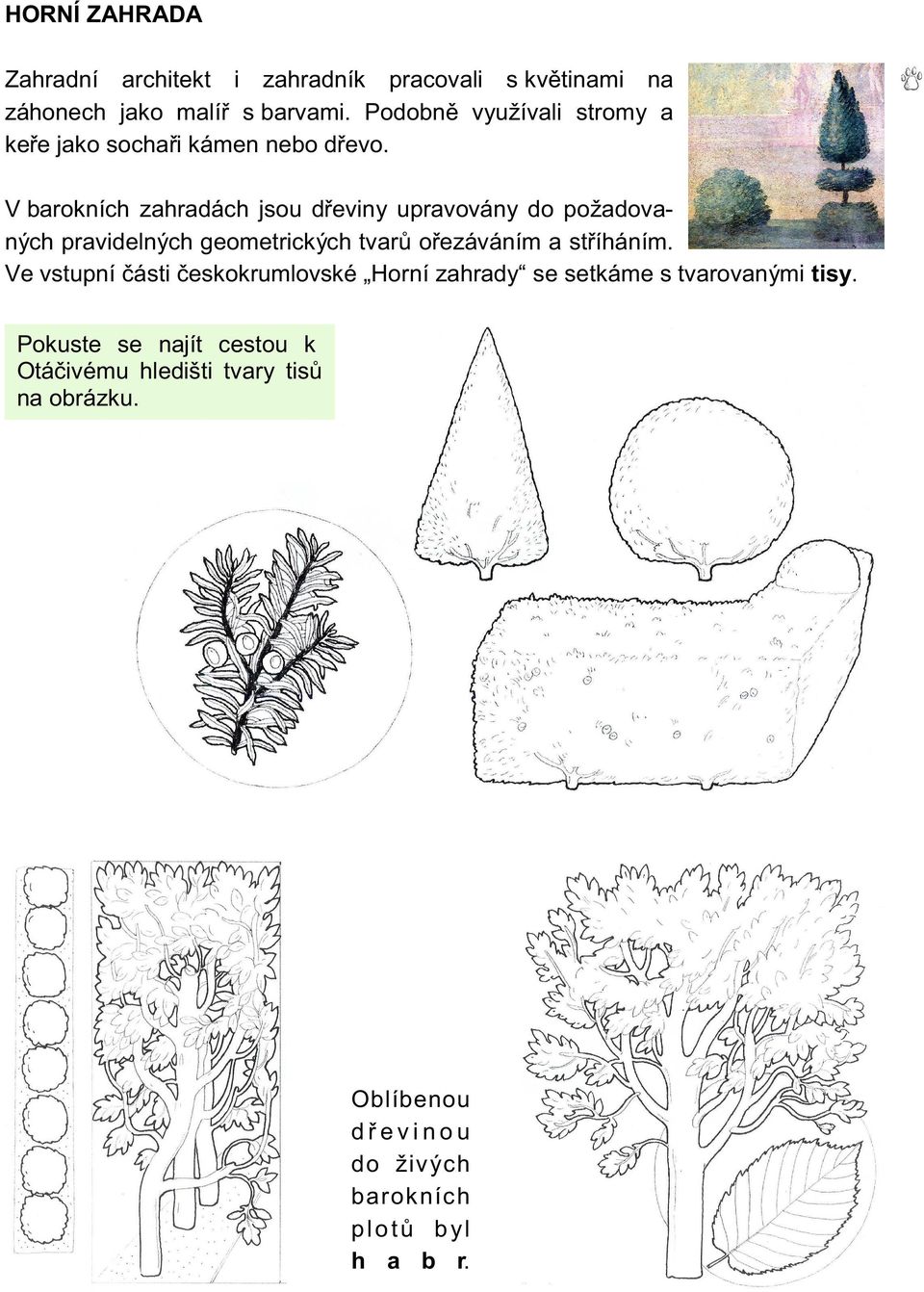 V barokních zahradách jsou dřeviny upravovány do požadovaných pravidelných geometrických tvarů ořezáváním a stříháním.