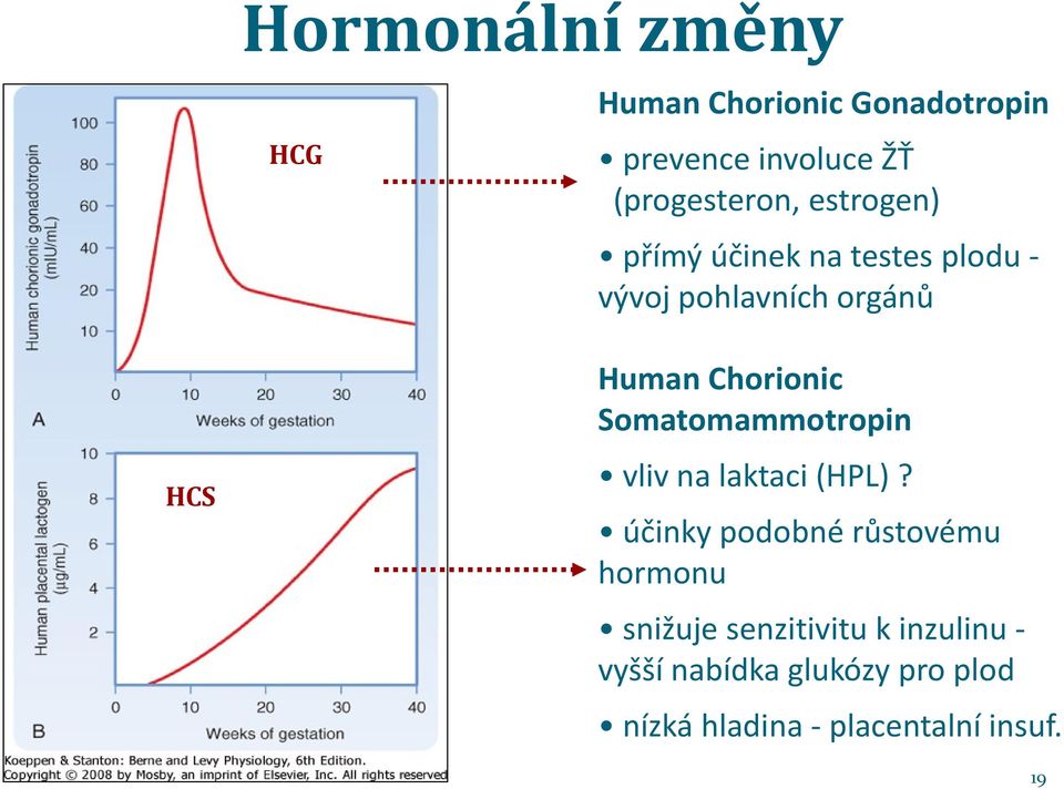 Somatomammotropin vliv na laktaci (HPL)?