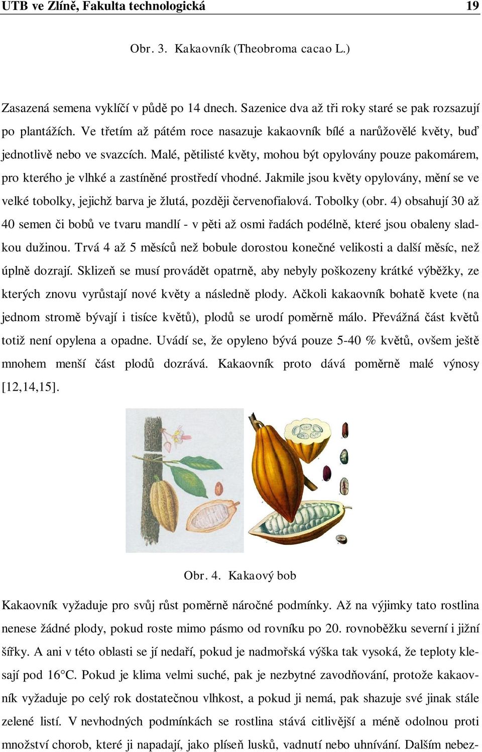 Malé, p tilisté kv ty, mohou být opylovány pouze pakomárem, pro kterého je vlhké a zastín né prost edí vhodné.