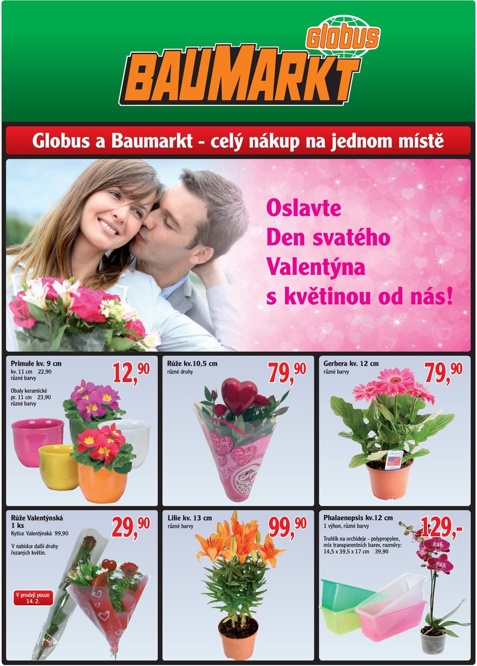 12 cm 79, 90 Růže Valentýnská 1 ks Kytice Valentýnská 99,90 V nabídce další druhy řezaných květin. 29, 90 Lilie kv.