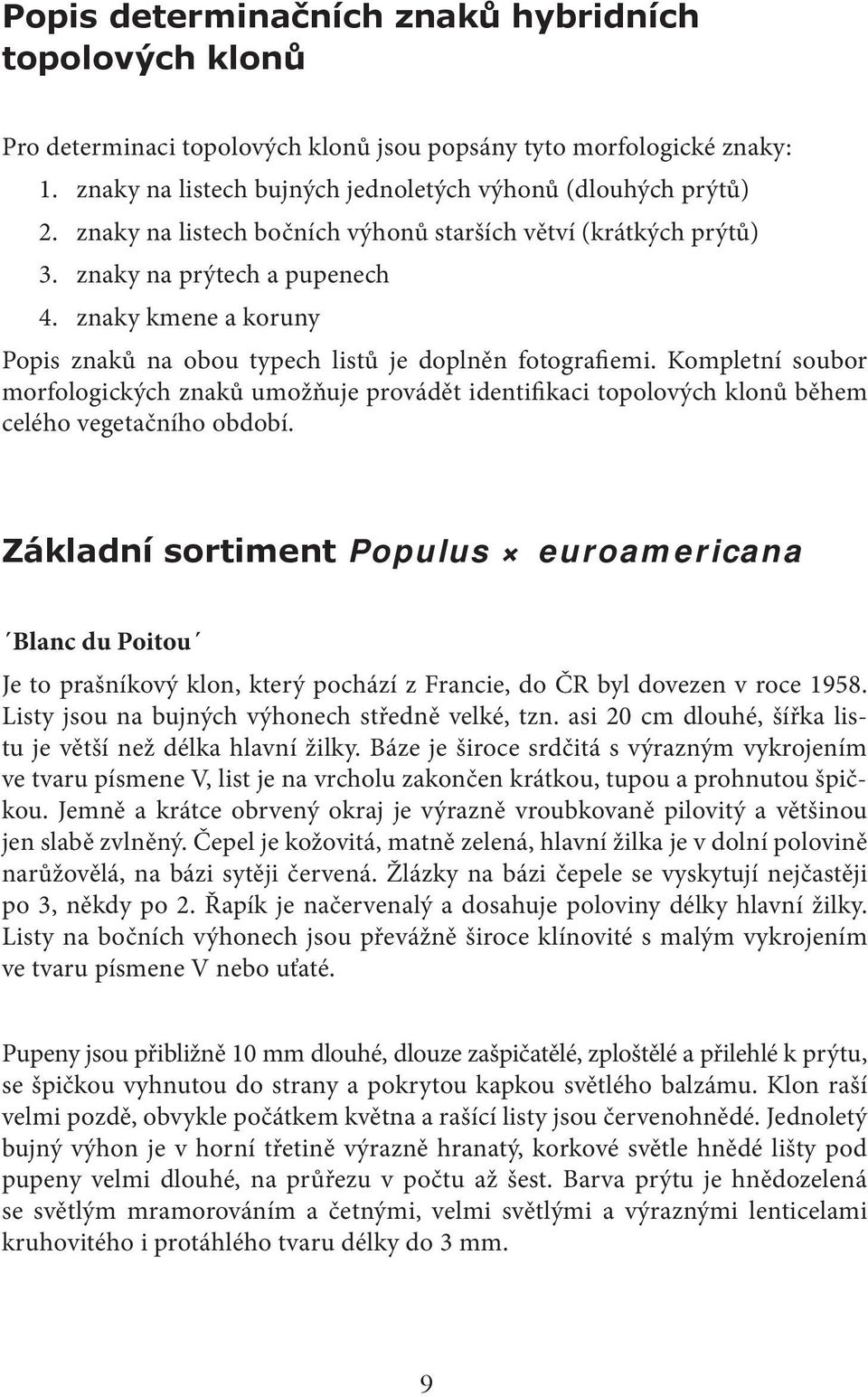 Kompletní soubor morfologických znaků umožňuje provádět identifikaci topolových klonů během celého vegetačního období.