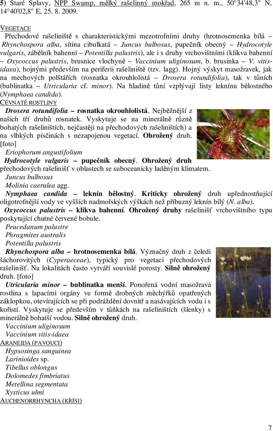 Potentilla palustris), ale i s druhy vrchovištními (klikva bahenní Oxycoccus palustris, brusnice vlochyně Vaccinium uliginosum, b. brusinka V.