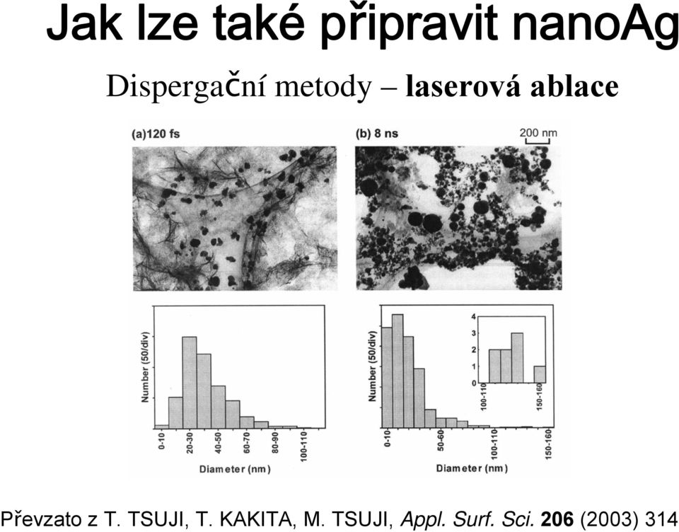 Převzato z T. TSUJI, T. KAKITA, M.