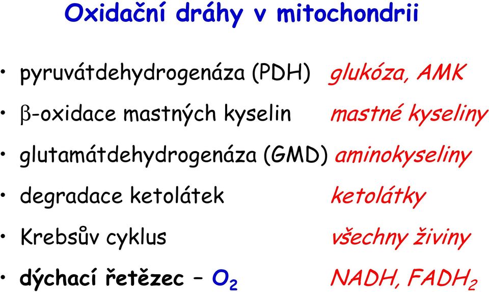 glutamátdehydrogenáza (GMD) aminokyseliny degradace ketolátek