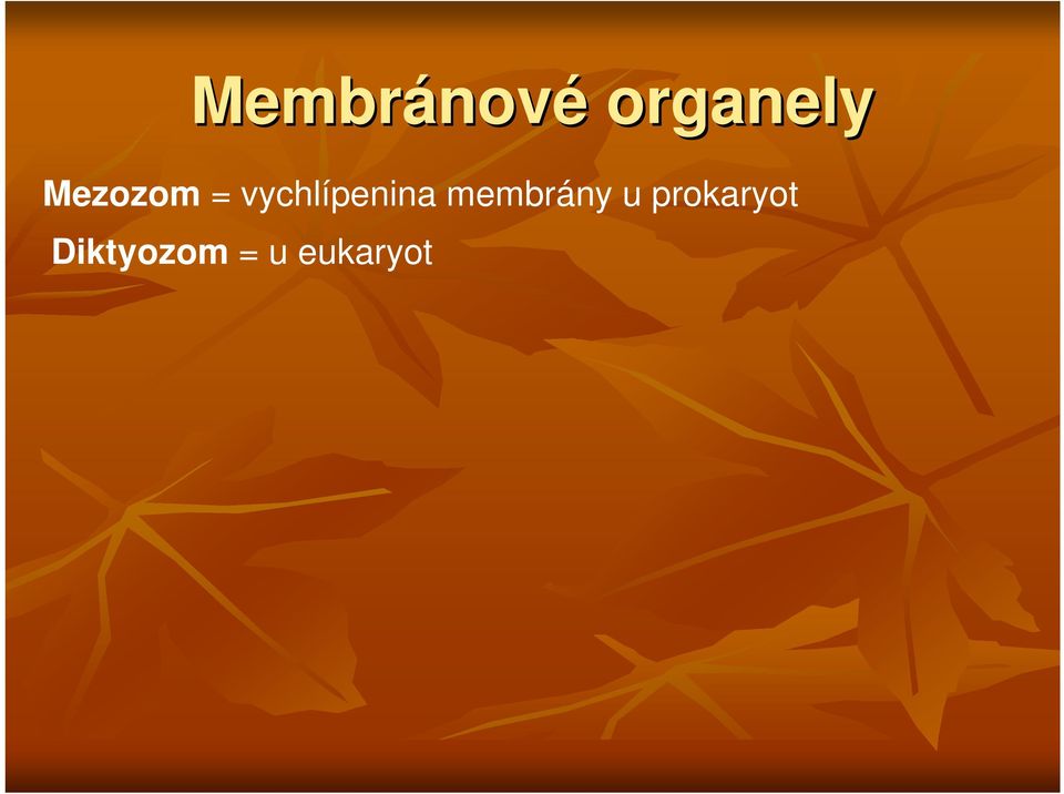 vychlípenina membrány