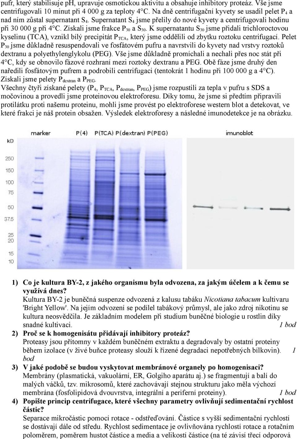 Získali jsme frakce P 30 a S 30. K supernatantu S 30 jsme přidali trichloroctovou kyselinu (TCA), vznikl bílý precipitát P TCA, který jsme oddělili od zbytku roztoku centrifugací.