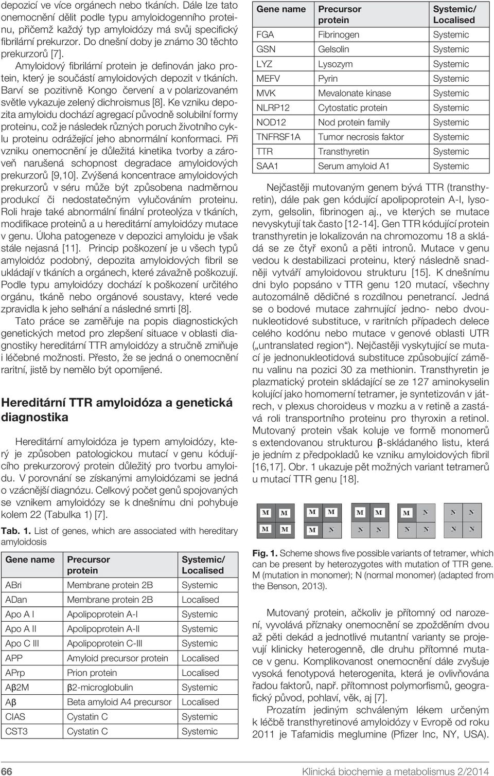 Barví se pozitivně Kongo červení a v polarizovaném světle vykazuje zelený dichroismus [8].