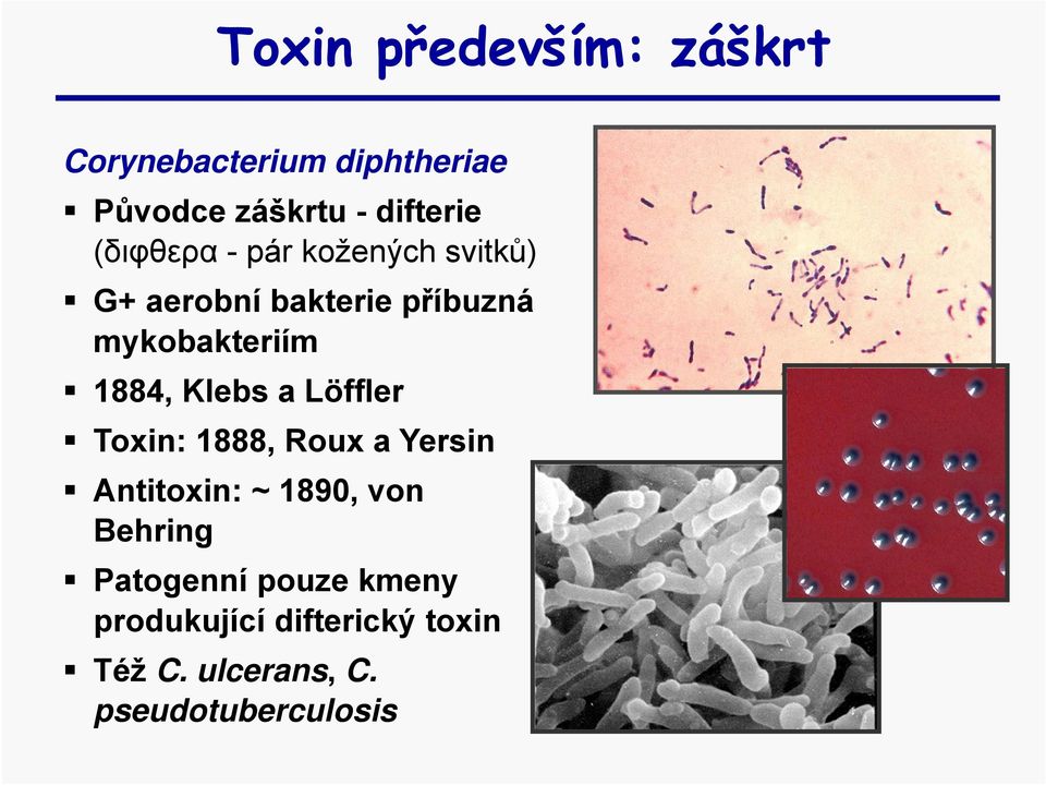 Klebs a Löffler Toxin: 1888, Roux a Yersin Antitoxin: ~ 1890, von Behring