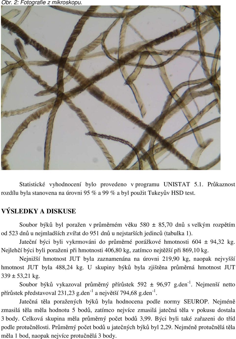 Jateční býci byli vykrmováni do průměrné porážkové hmotnosti 604 ± 94,32 kg. Nejlehčí býci byli poraženi při hmotnosti 406,80 kg, zatímco nejtěžší při 869,10 kg.