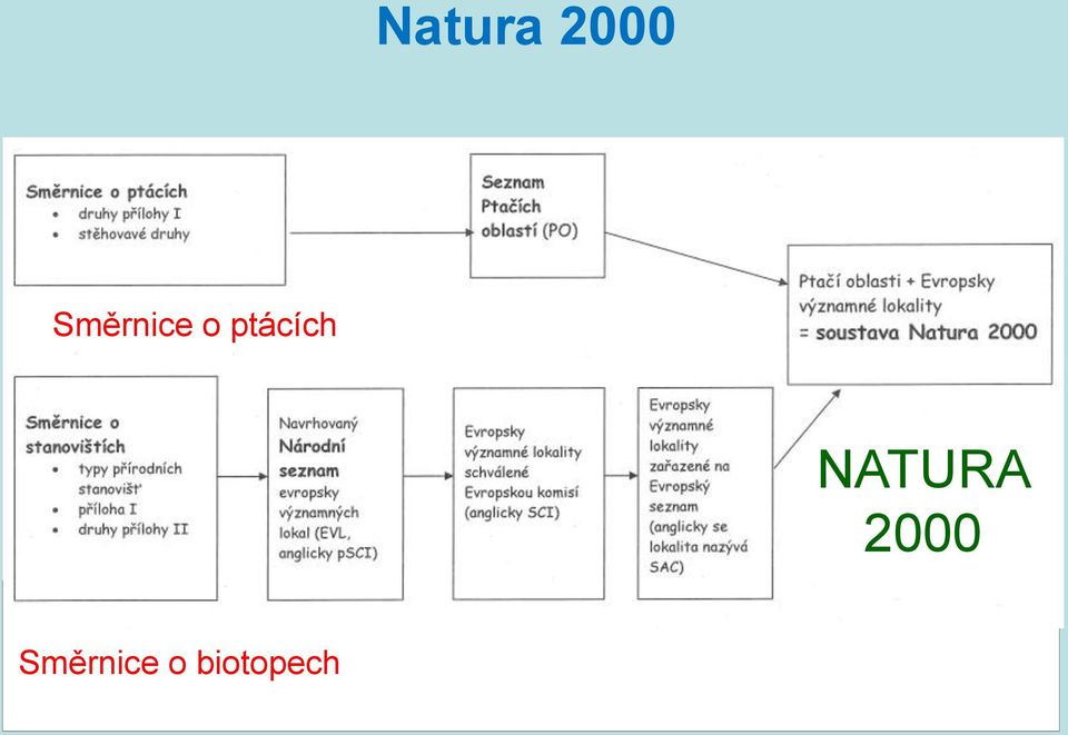 ptácích NATURA