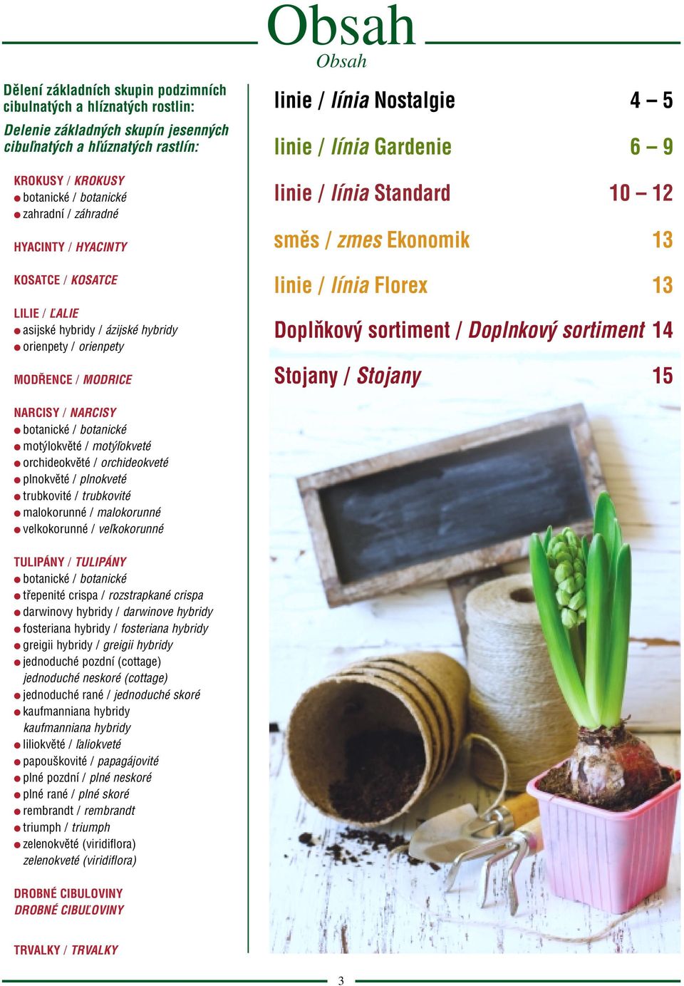 línia Florex Doplňkový ortiment / Doplnkový ortiment Stojany / Stojany RCIS / RCIS botanické / botanické motýlokvěté / motýľokveté orchideokvěté / orchideokveté plnokvěté / plnokveté trubkovité /
