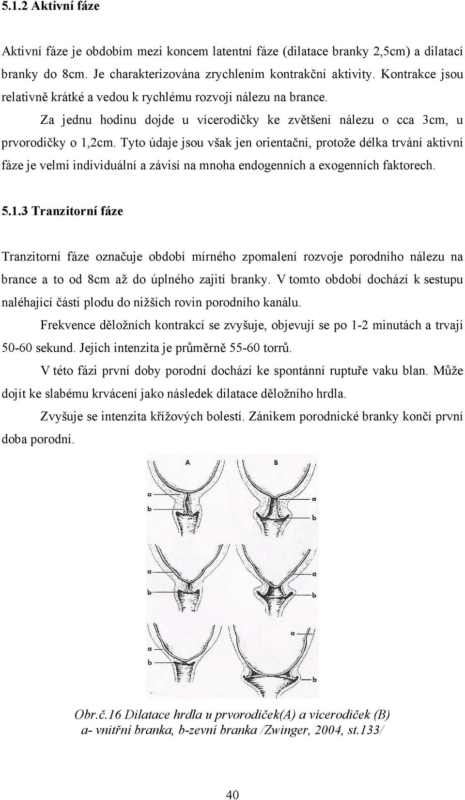 Tyto údaje jsou však jen orientační, protože délka trvání aktivní fáze je velmi individuální a závisí na mnoha endogenních a exogenních faktorech. 5.1.