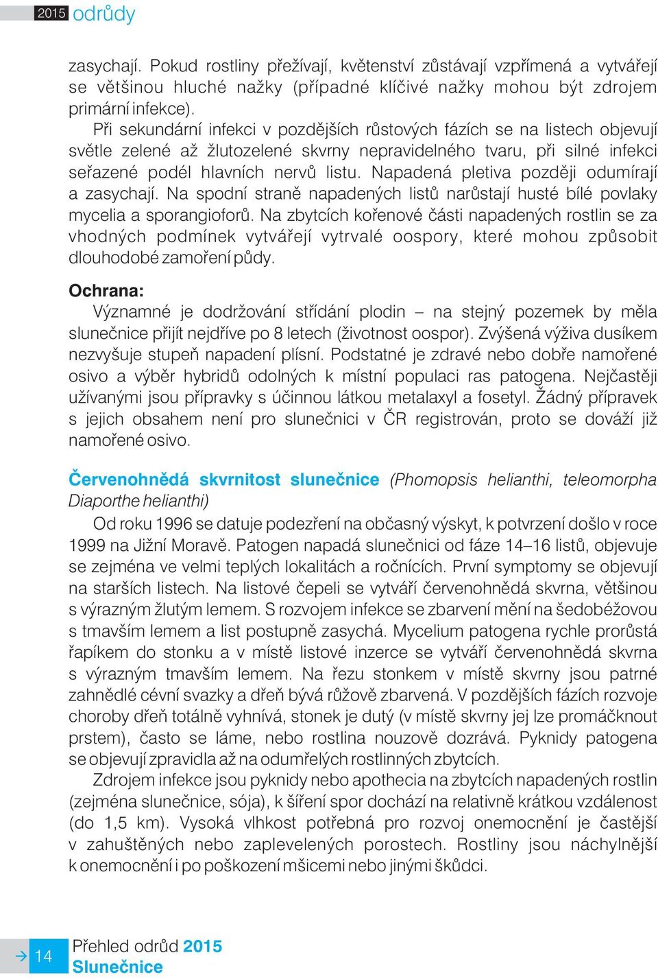 Napadená pletiva pozdìji odumírají a zasychají. Na spodní stranì napadených listù narùstají husté bílé povlaky mycelia a sporangioforù.