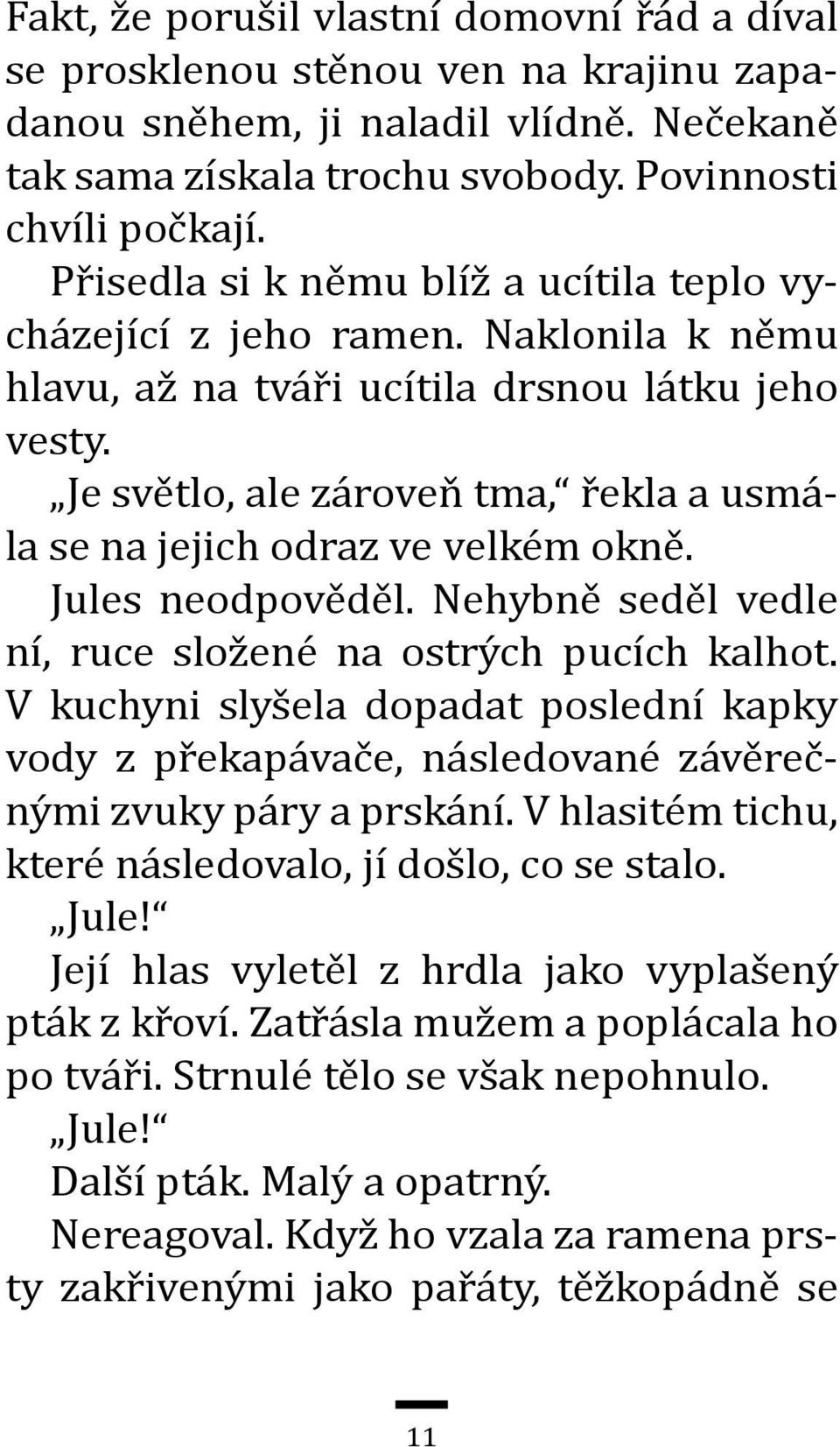 Je světlo, ale zároveň tma, řekla a usmála se na jejich odraz ve velkém okně. Jules neodpověděl. Nehybně seděl vedle ní, ruce složené na ostrých pucích kalhot.