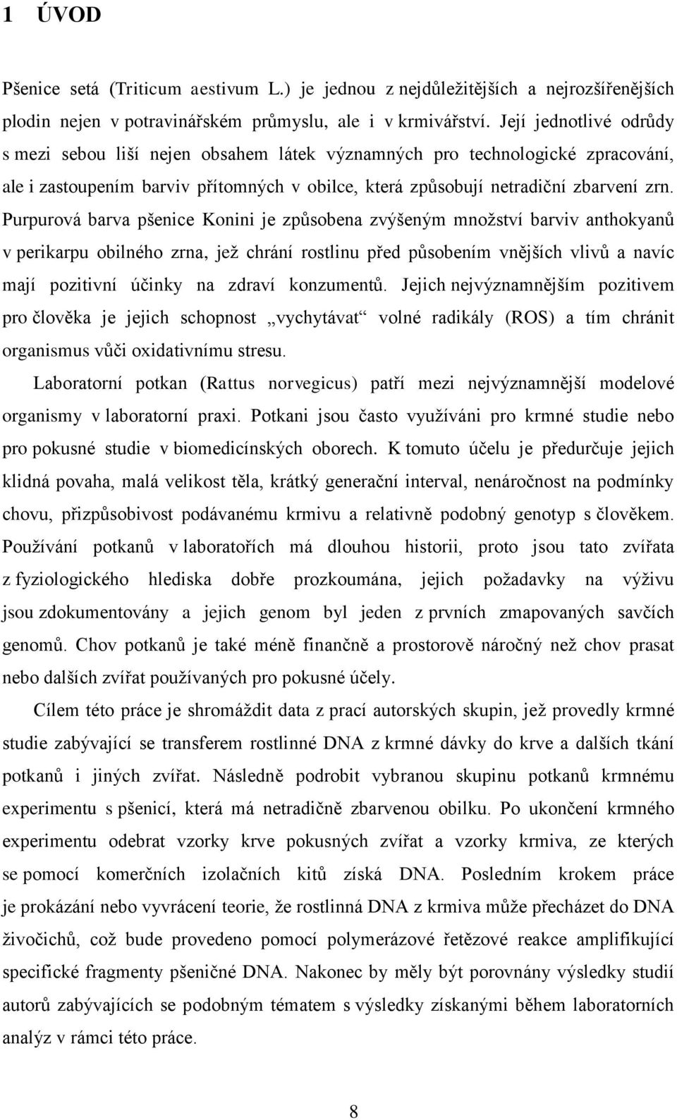Purpurová barva pšenice Konini je způsobena zvýšeným množství barviv anthokyanů v perikarpu obilného zrna, jež chrání rostlinu před působením vnějších vlivů a navíc mají pozitivní účinky na zdraví
