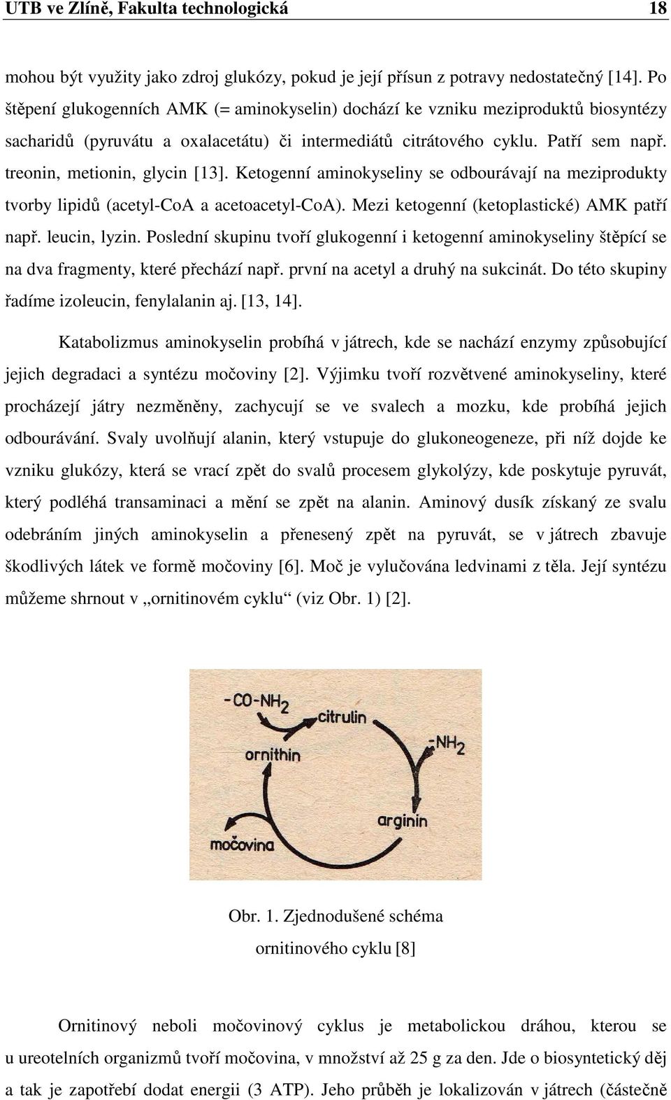 treonin, metionin, glycin [13]. Ketogenní aminokyseliny se odbourávají na meziprodukty tvorby lipidů (acetyl-coa a acetoacetyl-coa). Mezi ketogenní (ketoplastické) AMK patří např. leucin, lyzin.