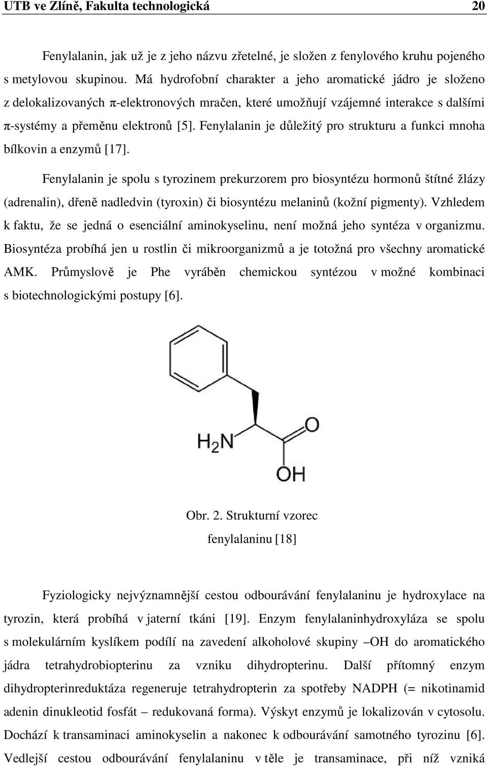 Fenylalanin je důležitý pro strukturu a funkci mnoha bílkovin a enzymů [17].