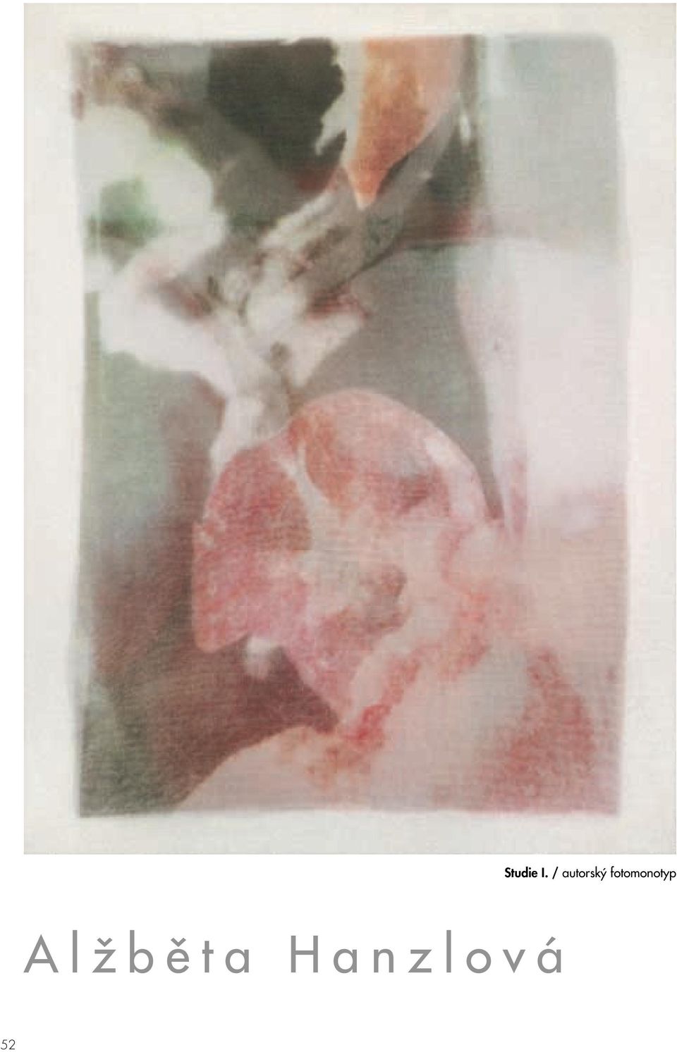 fotomonotyp