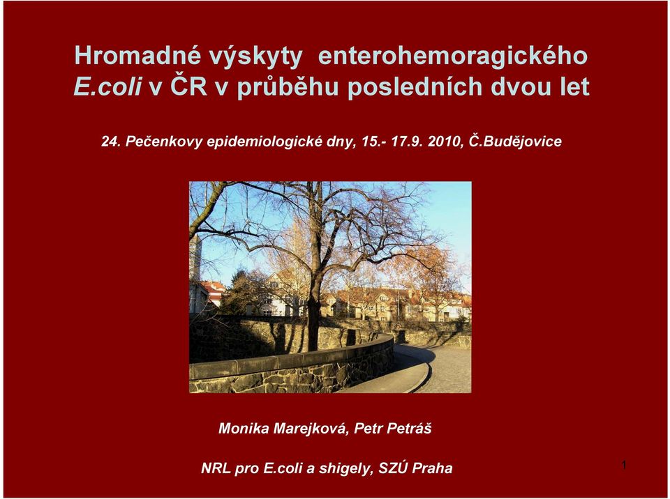 Pečenkovy epidemiologické dny, 15.- 17.9. 2010, Č.