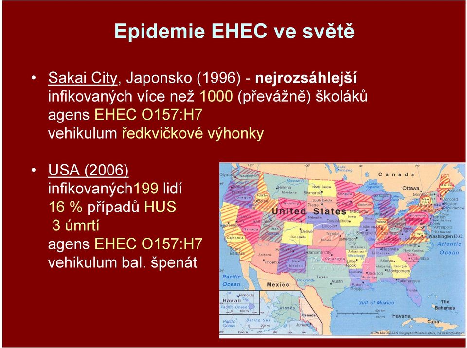 agens EHEC O157:H7 vehikulum ředkvičkové výhonky USA (2006)