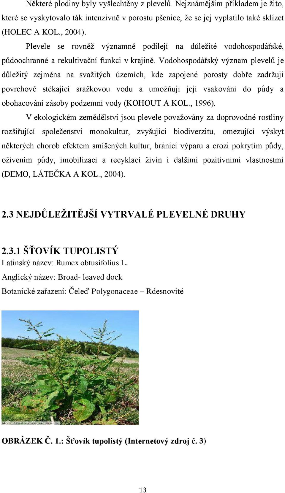 Vodohospodářský význam plevelů je důležitý zejména na svažitých územích, kde zapojené porosty dobře zadržují povrchově stékající srážkovou vodu a umožňují její vsakování do půdy a obohacování zásoby