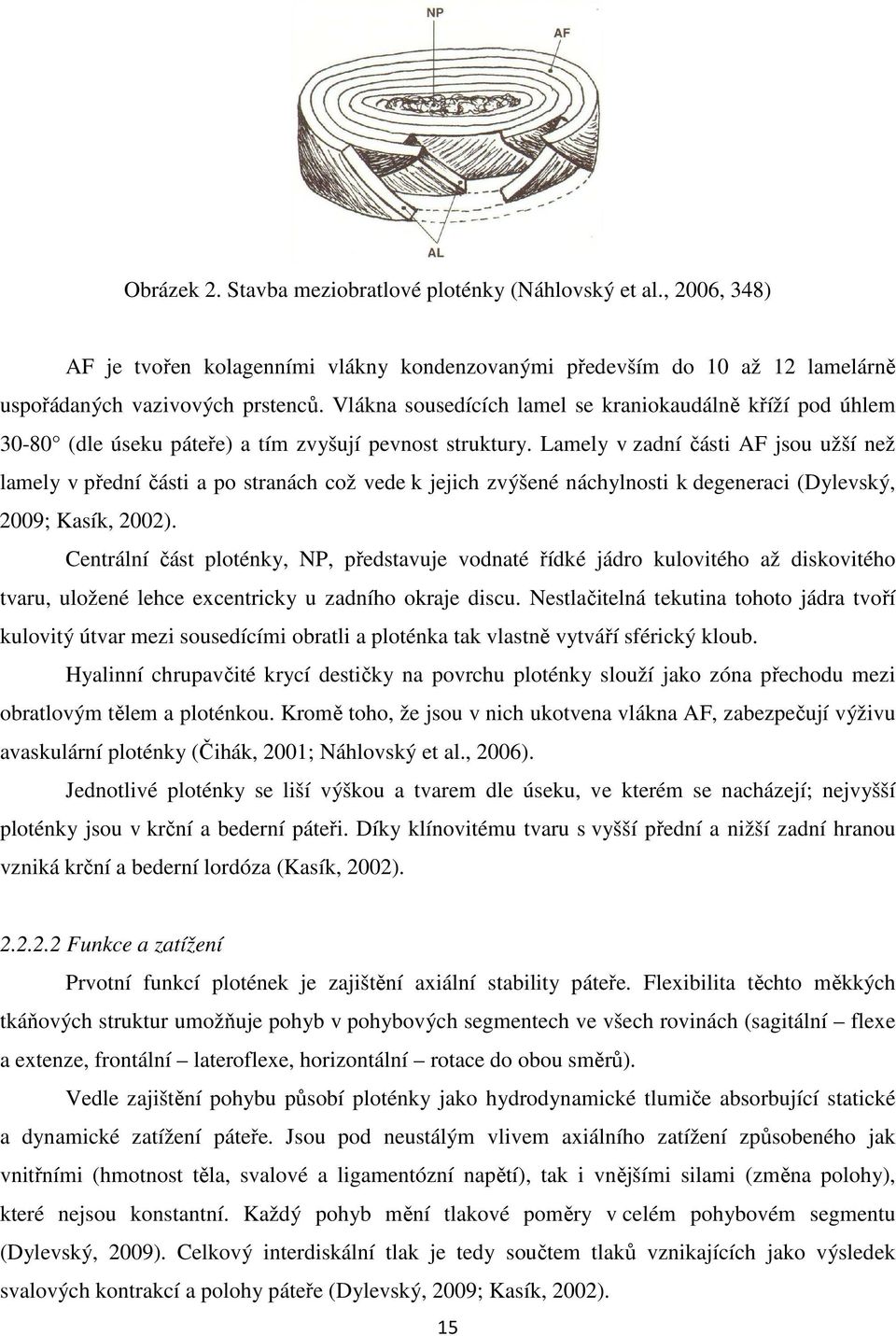 Lamely v zadní části AF jsou užší než lamely v přední části a po stranách což vede k jejich zvýšené náchylnosti k degeneraci (Dylevský, 2009; Kasík, 2002).