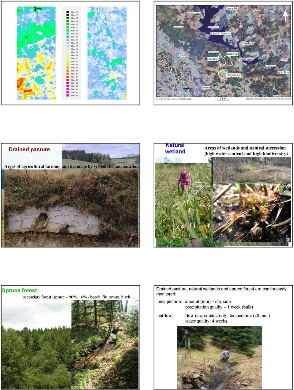 .) Spruce forest secondary forest (spruce 90%, 10% - beech, fir, rowan, birch Drained pasture, natural wetlands and spruce forest are