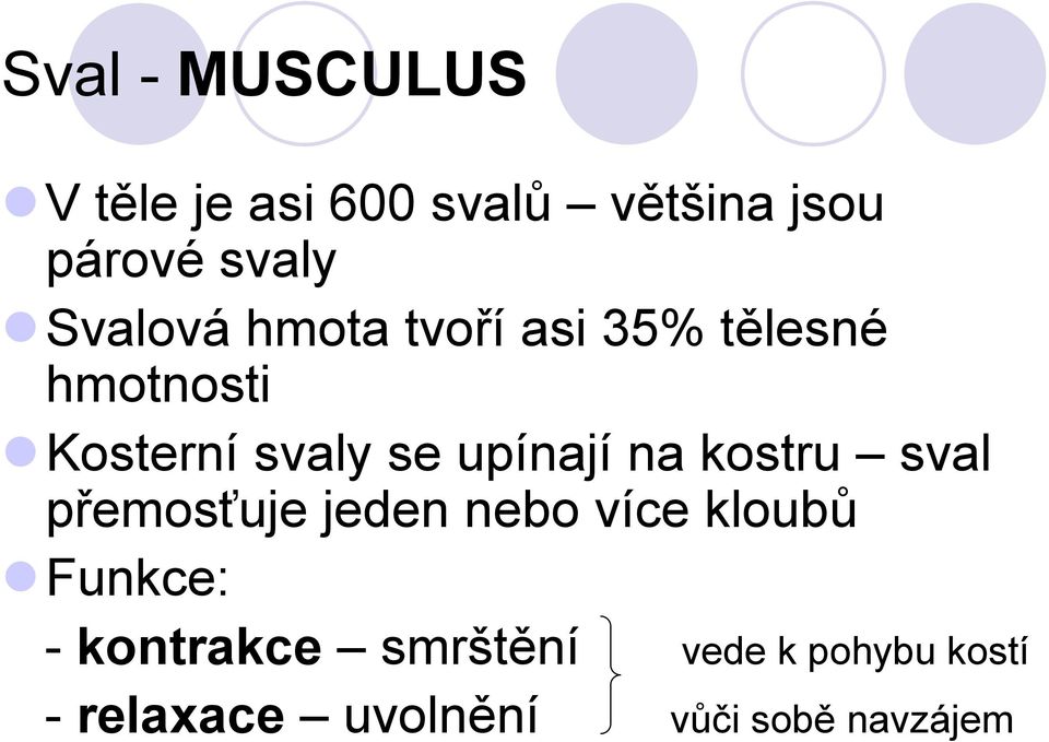 upínají na kostru sval přemosťuje jeden nebo více kloubů Funkce: -