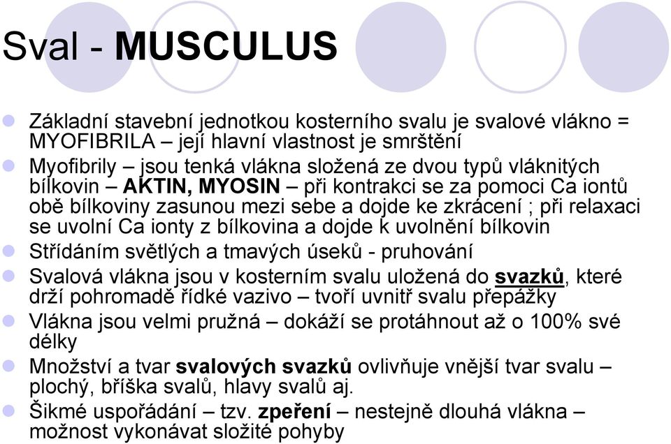 tmavých úseků - pruhování Svalová vlákna jsou v kosterním svalu uložená do svazků, které drží pohromadě řídké vazivo tvoří uvnitř svalu přepážky Vlákna jsou velmi pružná dokáží se protáhnout až o