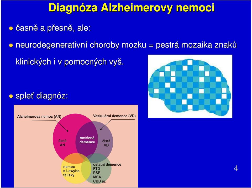choroby mozku = pestrá mozaika znaků