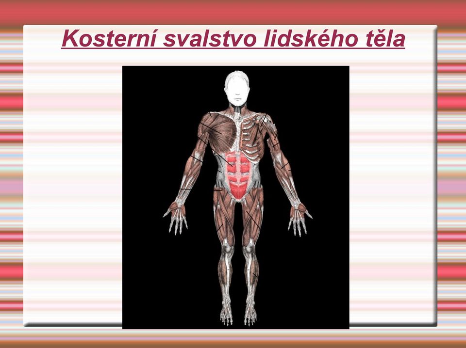 lidského