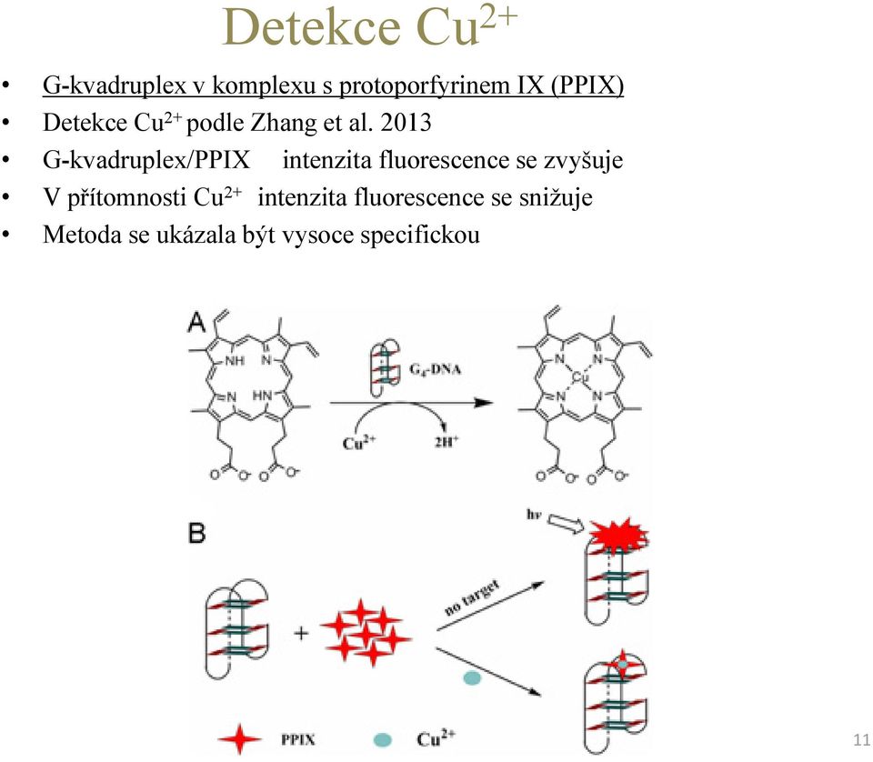 2013 G-kvadruplex/PPIX intenzita fluorescence se zvyšuje V