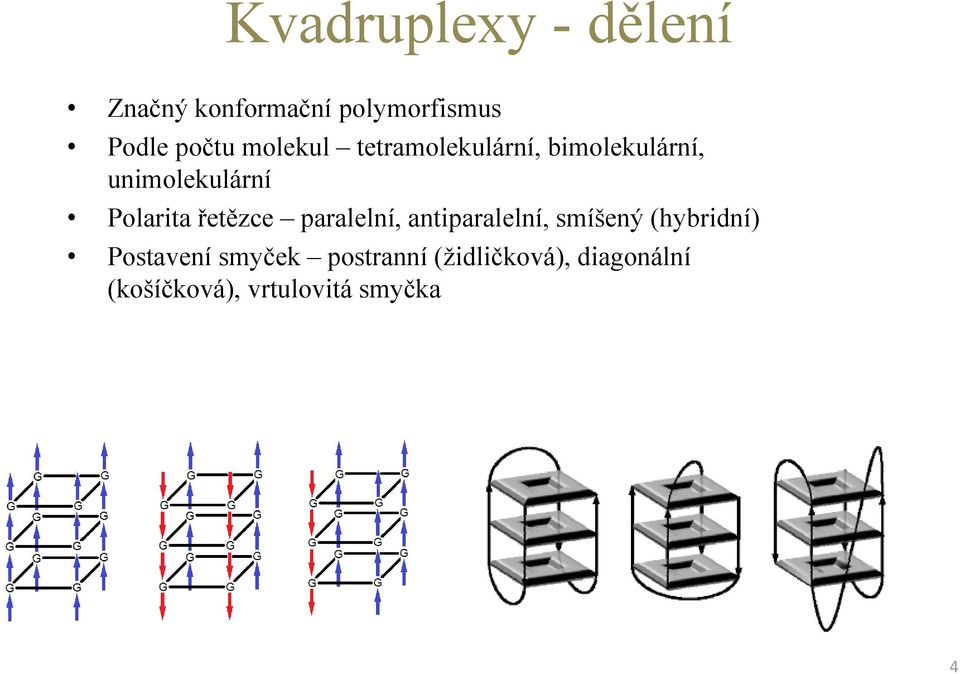 řetězce paralelní, antiparalelní, smíšený (hybridní) Postavení