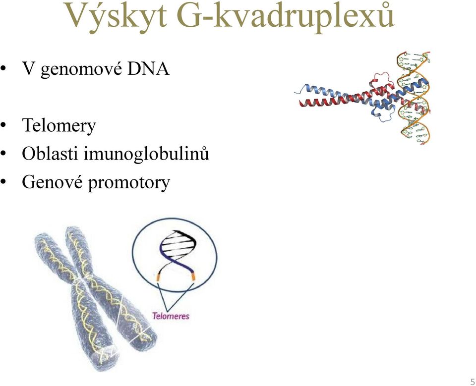 Telomery Oblasti