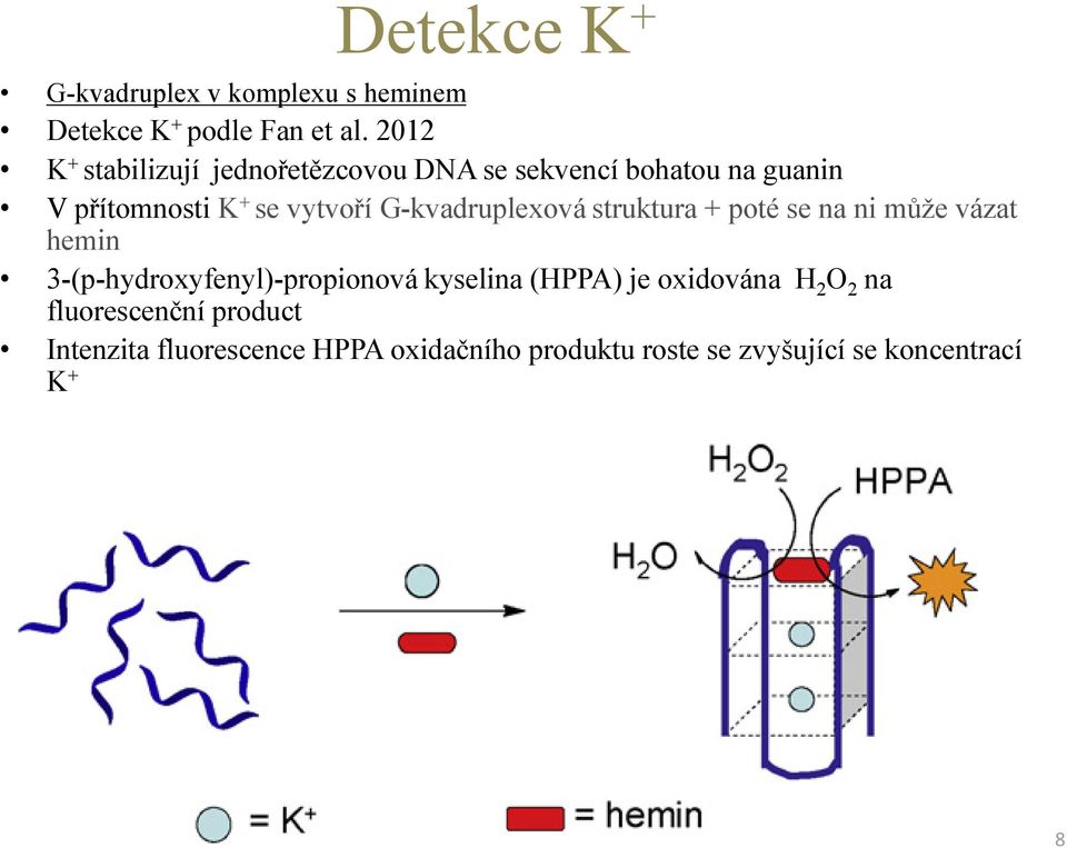 G-kvadruplexová struktura + poté se na ni může vázat hemin 3-(p-hydroxyfenyl)-propionová kyselina