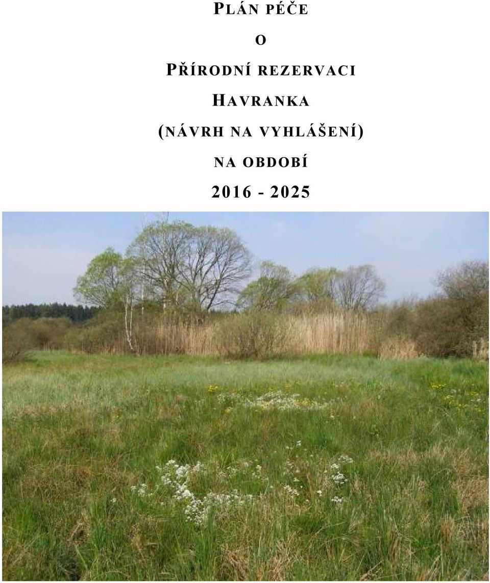 HAVRANKA (NÁVRH NA