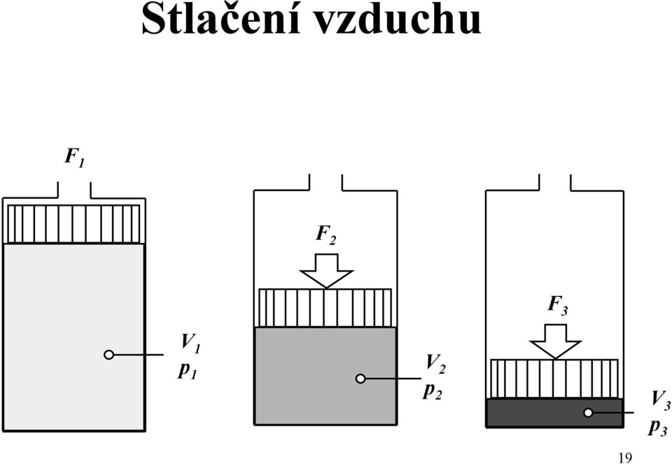 2 F 3 V 1 p 1