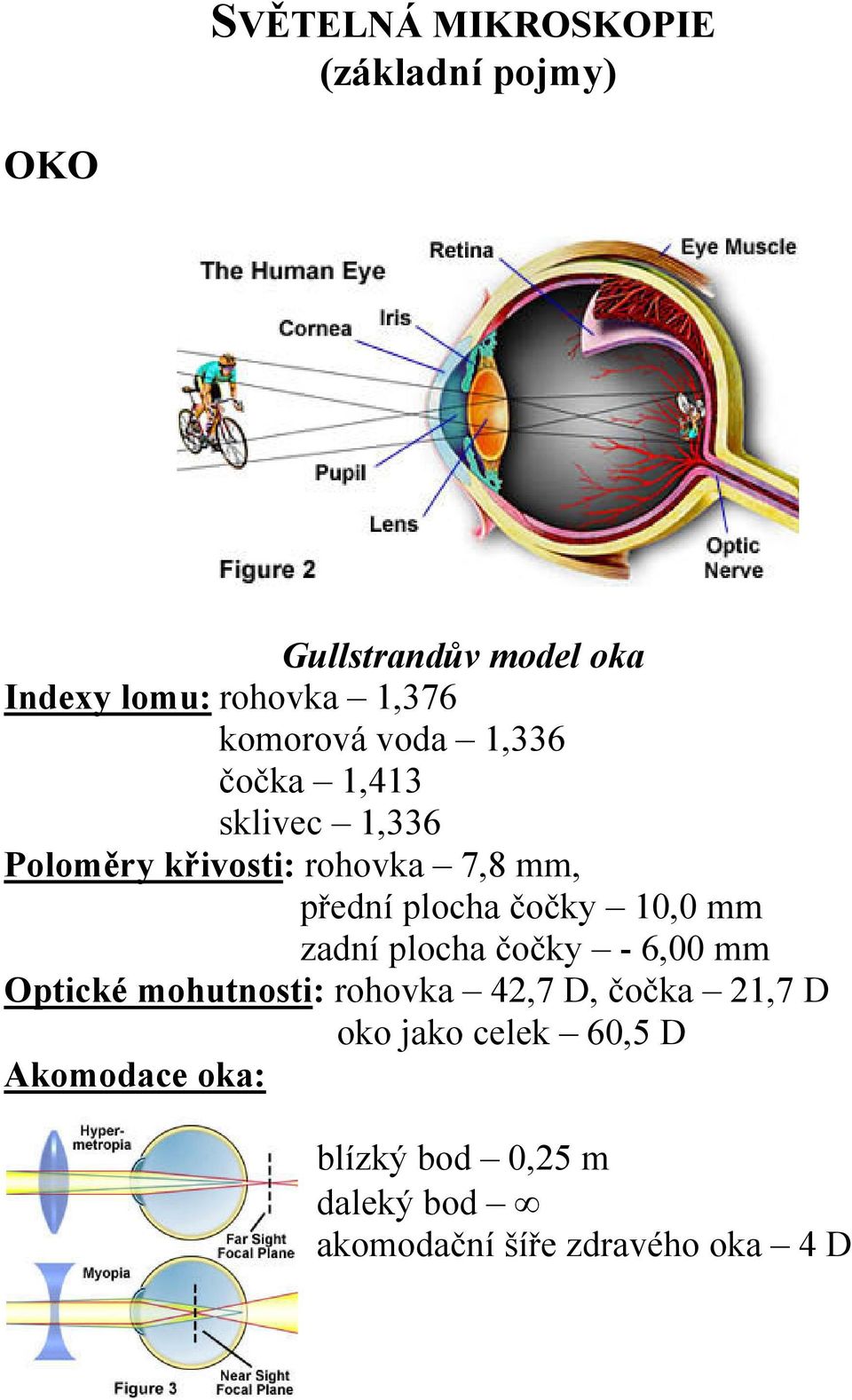čočky 0,0 mm zadní plocha čočky - 6,00 mm Optické mohutnosti: rohovka 4,7 D, čočka,7 D oko