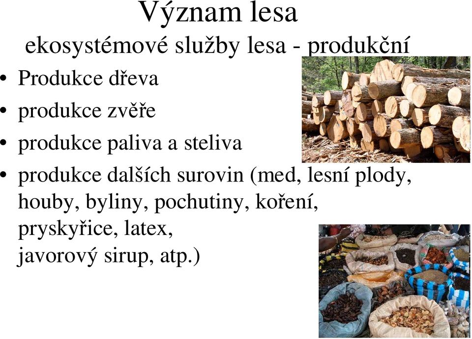 produkce dalších surovin (med, lesní plody, houby,