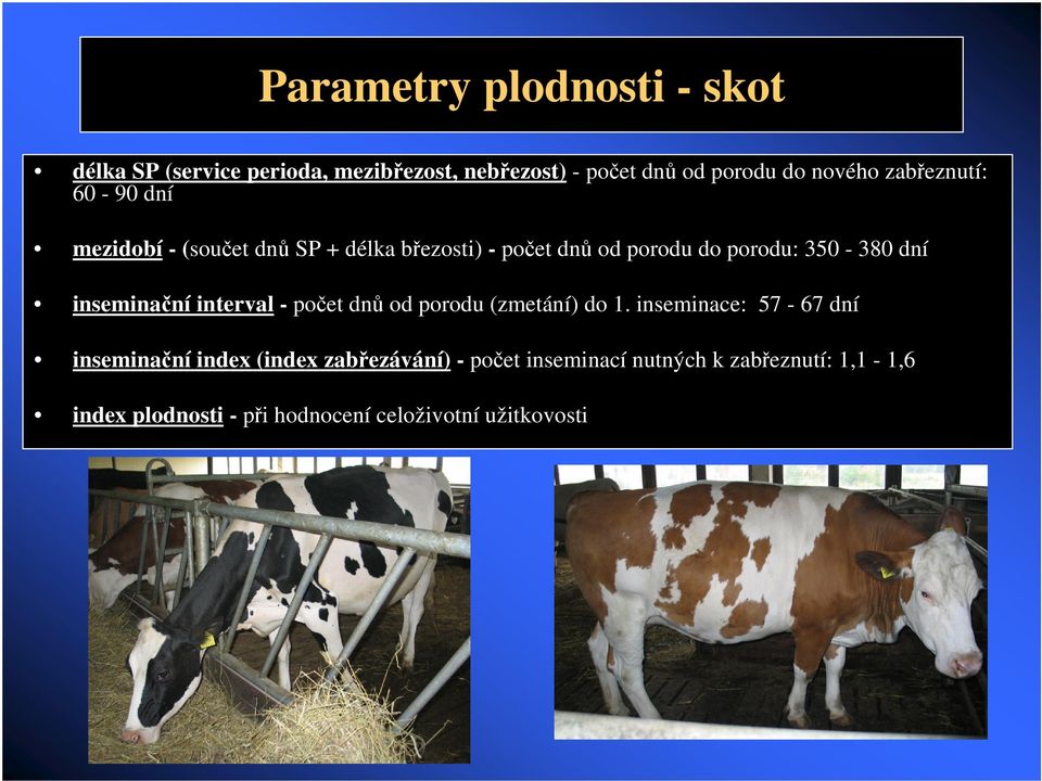 inseminaní interval - poet dn od porodu (zmetání) do 1.