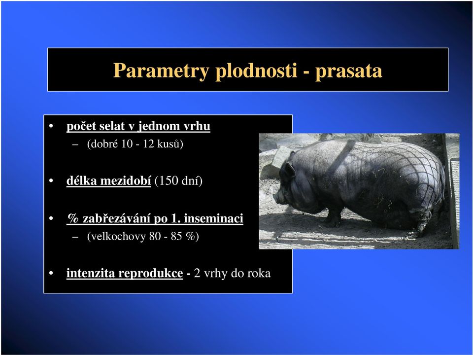 (150 dní) % zabezávání po 1.