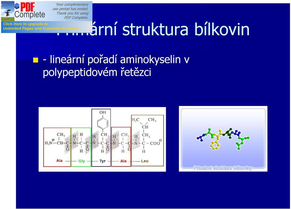 pořadí aminokyselin