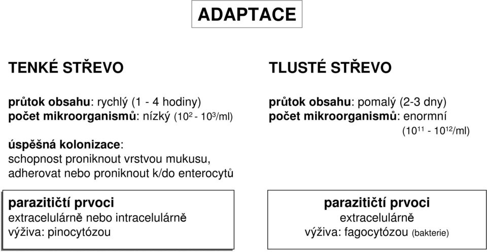 parazitičtí prvoci extracelulárně nebo intracelulárně výživa: pinocytózou TLUSTÉ STŘEVO průtok obsahu: