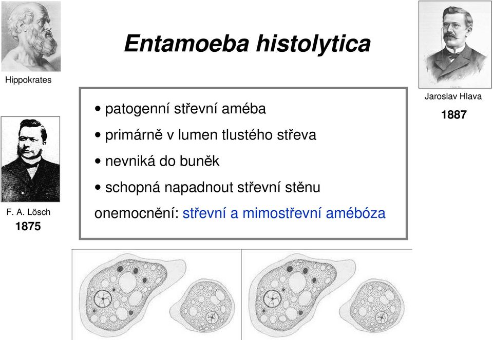 tlustého střeva nevniká do buněk schopná napadnout