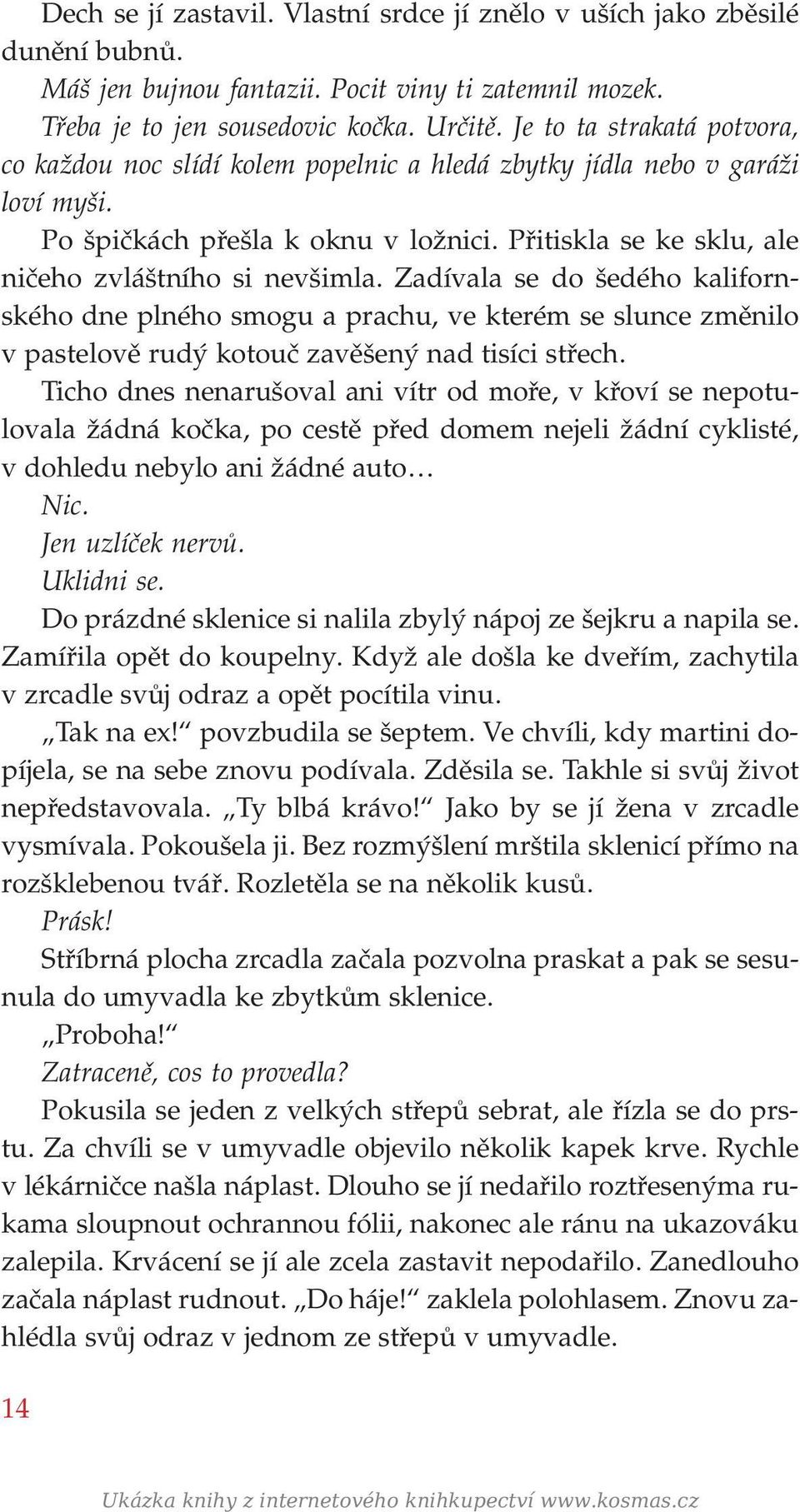 Přitiskla se ke sklu, ale ničeho zvláštního si nevšimla. Zadívala se do šedého kalifornského dne plného smogu a prachu, ve kterém se slunce změnilo v pastelově rudý kotouč zavěšený nad tisíci střech.