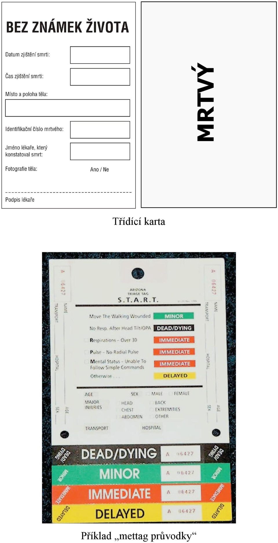 karta